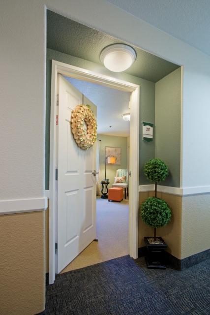 Front door and entrance into apartment with a planter outside the door.
